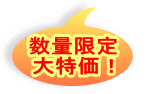 数量限定 大特価！