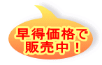 早得価格で 販売中！