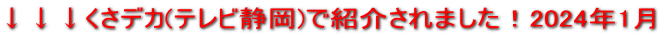 fJ(erÉ)ŏЉ܂I2024N1