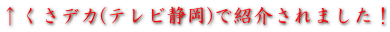 ↑くさデカ(テレビ静岡)で紹介されました!